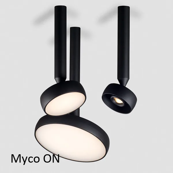 CHORS Myco ON