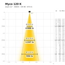 Myco 120 K Lichtkegel 4000 K Zoom 21°