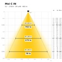 Moi C IN Lichtkegel 2700 K