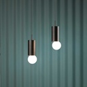 Firefly Z U Pendant Recessed Spotlight