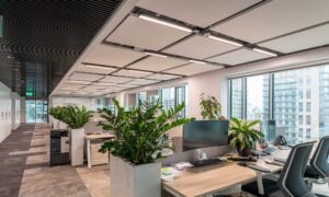 Office, SONY Büro mit Deckenaufbauleuchten ACCENT ON aus der Familie ACCENT von CHORS®